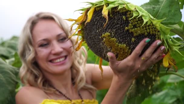 Молода красива жінка в полі з соняшником, повільний рух . — стокове відео