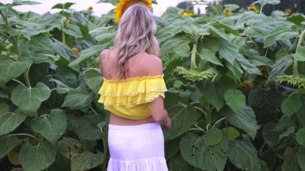 Jonge vrouw loopt op een achtergrond van zonnebloemen, Slow Motion. — Stockvideo