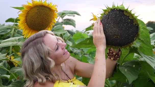 Młoda piękna kobieta trzyma dojrzałego słonecznika w polu. — Wideo stockowe