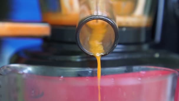 Juicer fait du jus fraîchement pressé, gros plan . — Video