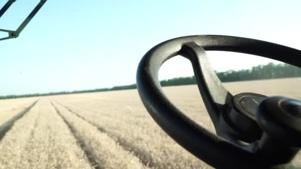 Mähdrescher arbeitet auf dem Feld, Blick aus dem Führerhaus. Bauernhof, Landwirtschaft. Weizenernte. — Stockvideo