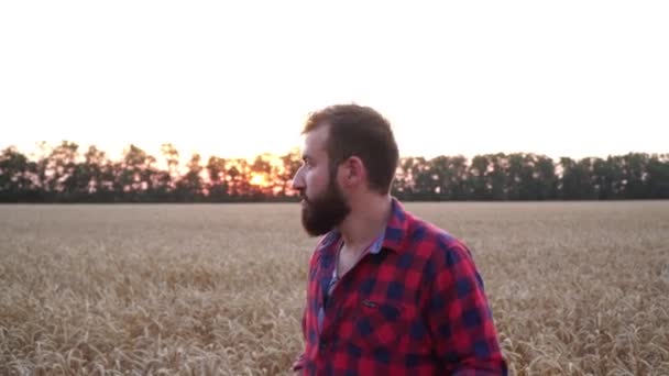 Молодий фермер на тлі поля пшениці . — стокове відео