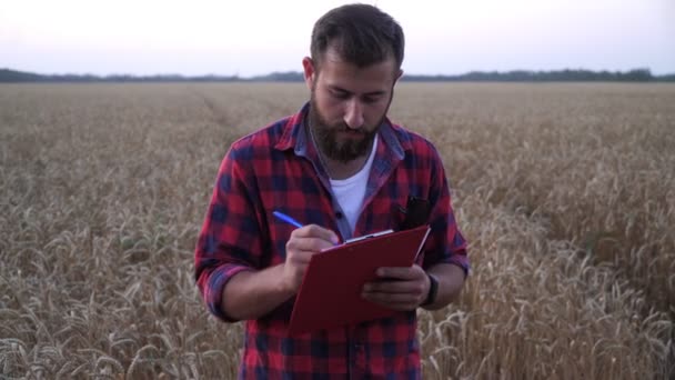 Ένας άντρας αγρότης ή γεωπόνος γράφει σε μια ταμπλέτα. Αγρότης στο χωράφι με τα δημητριακά. — Αρχείο Βίντεο