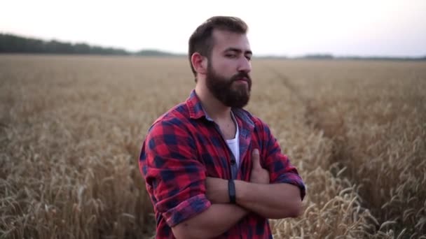 Porträtt av en manlig jordbrukare på en bakgrund av ett fält av vete. — Stockvideo