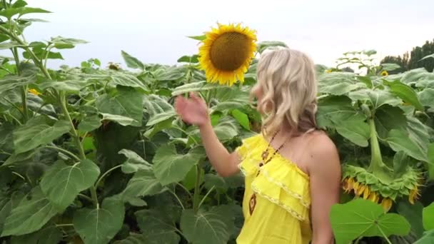 Jonge mooie vrouw op de zonnebloemen veld achtergrond. — Stockvideo