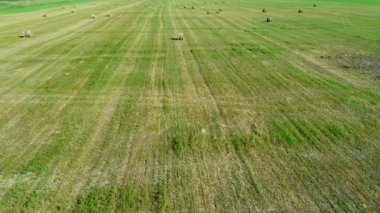 Yeşil alan, samanlıklar, saman ruloları, havadan görünüm.