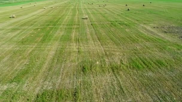 Зеленое поле, стог сена, соломенные рулоны, вид с воздуха . — стоковое видео