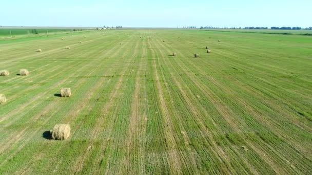 Vista aérea, campo verde, palha e palha rolos, agricultura . — Vídeo de Stock