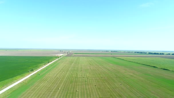 Aerial Panorama: grön fält, höstackar och halm rullar, jordbruk. — Stockvideo
