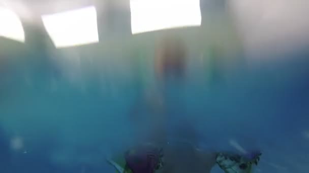 Ein Kleines Kind Lernt Schwimmbad Schwimmen — Stockvideo