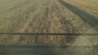 Makarayı yakın plan çekiyoruz. Buğday tarlası, hasat..