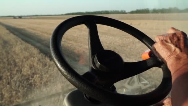 Farmář pracuje na kombinaci v terénu. Sklizeň pšenice. — Stock video