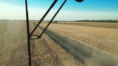 Buğday tarlası, çiftlik, biçerdöver tarlada çalışır, hasat....