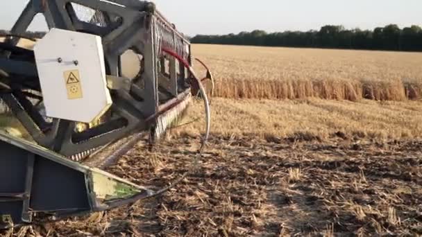 Harvester está trabalhando no campo, close-up. Carretel de colheitadeira . — Vídeo de Stock