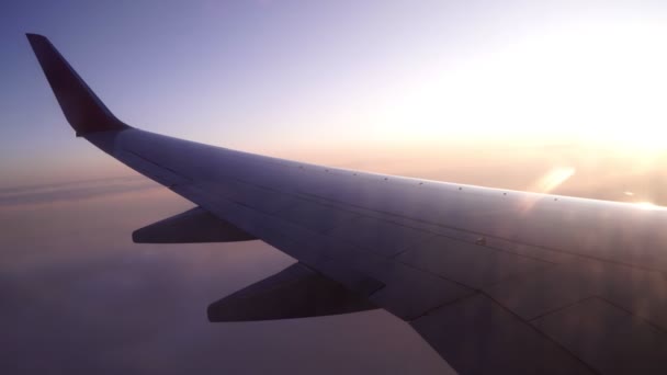 Ala de avião no fundo dos raios solares. Avião, pôr do sol ou amanhecer, viajar . — Vídeo de Stock