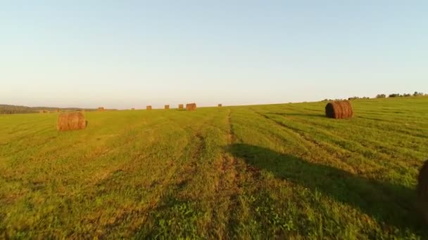 Prachtig panorama van een groen veld en rollen gemaaid hooi. — Stockvideo