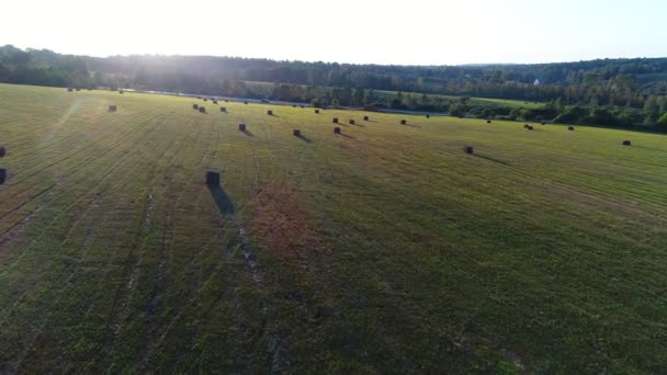 Rolls i stogi siana leżą na polu na tle promieni słońca. — Wideo stockowe