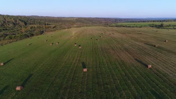 Légi: panoráma a zöld mező, szénakazalok és tekercs széna fekszik a földön. — Stock videók