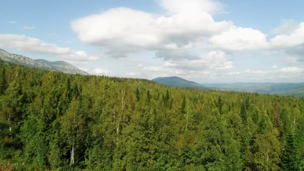 Légi kilátás: zöld vadon élő erdők és hegyek. Gyönyörű panoráma a természetre. — Stock videók