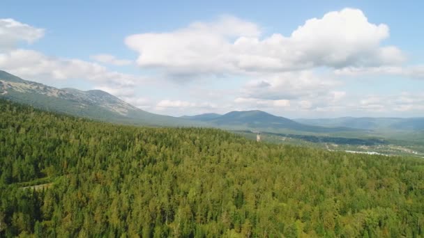 Vista aérea: taiga, floresta verde e árvores no verão . — Vídeo de Stock