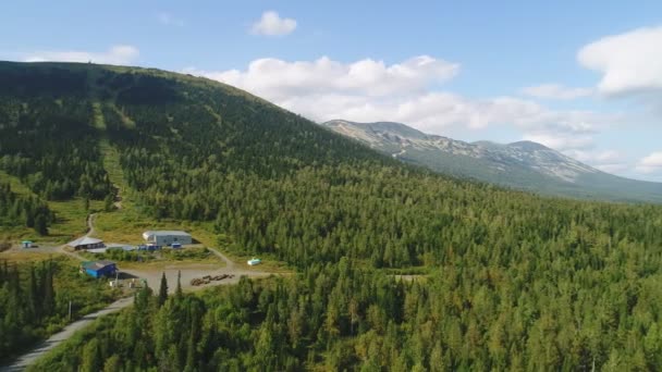 Vista aérea: bela natureza, taiga, floresta verde e árvores no verão . — Vídeo de Stock