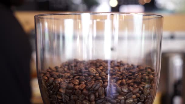 Kaffeebohnen werden in eine Kaffeemühle gegossen. — Stockvideo