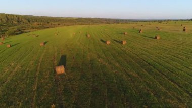 Hava: Yeşil bir tarlanın güzel manzarası, orman, saman yığınları.