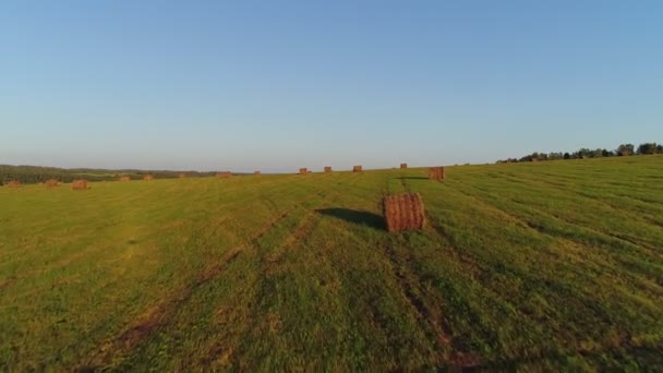 Rolky sekaného sena na zeleném poli. Krajina země, letecký pohled. — Stock video