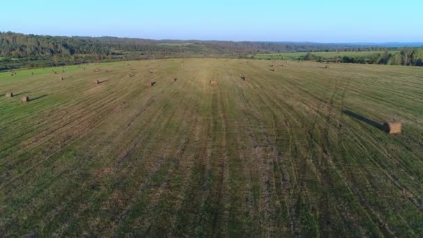 Légi kilátás: zöld mező, szénakazalok és tekercsek, vidéki táj. — Stock videók