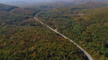 Hava manzarası: Sonbahar ormanı ve kır yolu. Güzel doğa ve yol geçmişi.