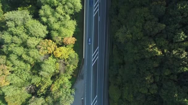 Χώρα αυτοκινητόδρομο και πράσινο δάσος, θέα στον αέρα. — Αρχείο Βίντεο