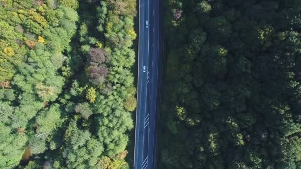 Luftaufnahme: Vorstadtautobahn und grüner Wald. — Stockvideo