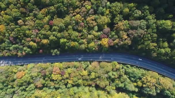 Carretera y hermoso bosque de otoño, vista aérea . — Vídeos de Stock