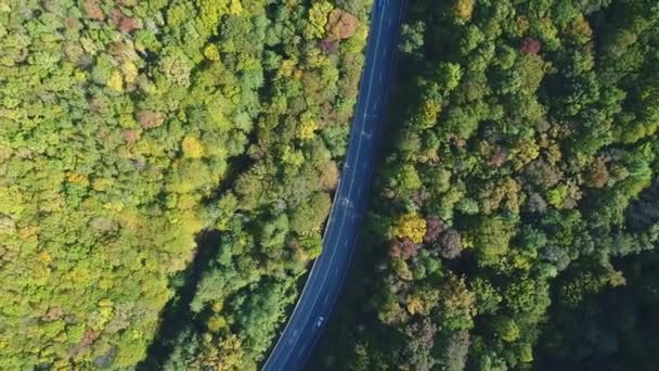 Pemandangan udara: jalan raya pinggiran kota dan hutan musim gugur . — Stok Video