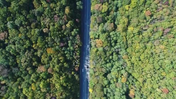 Aerial: suburban highway and green forest. — Stock Video