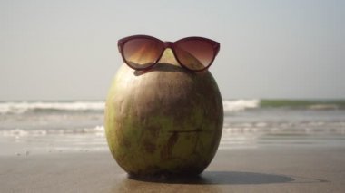 Deniz kenarında kumlu bir sahilde güneş gözlüklü turist hindistancevizi.