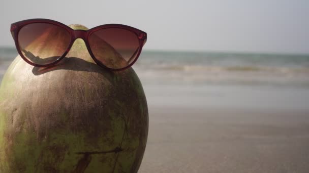 Coco en gafas de sol en la playa de arena de mar. Concepto de vacaciones tropicales — Vídeos de Stock