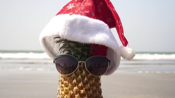 Weihnachten am Strand. Ananas-Touristin im Hut des Weihnachtsmannes auf See — Stockvideo