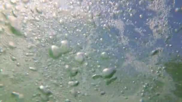 Beautiful air bubbles in the sea underwater. Marine background — Stock Video