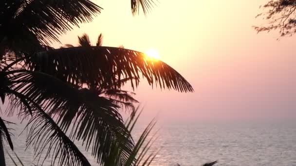 Belo fundo marinho tropical. Silhueta de palmeiras em um fundo de mar e por do sol — Vídeo de Stock