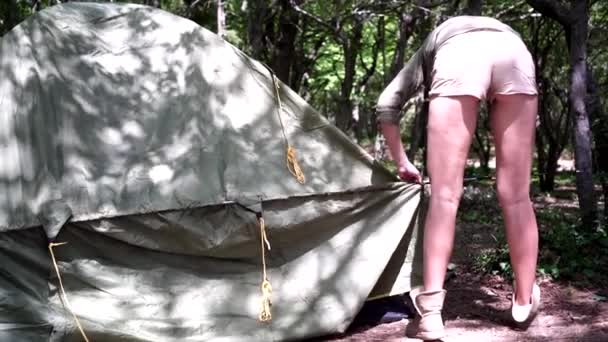 Wanita muda saja mendirikan tenda. Gadis turis di hutan dengan tenda — Stok Video