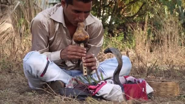 Un encantador de serpientes macho toca la melodía frente a una cobra . — Vídeo de stock