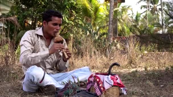 Ένας άντρας παίζει φλάουτο μπροστά σε φίδι κόμπρα. Ινδός γητευτής φιδιών. — Αρχείο Βίντεο