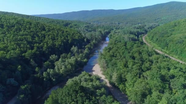 Зеленый лес, река, горы и холмы с деревьями, вид с воздуха — стоковое видео