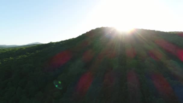 Alvorada ou pôr do sol sobre a floresta, vista aérea. Fundo bonito da natureza e florestas — Vídeo de Stock