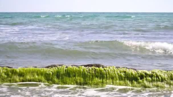 Fondo marino, olas salpicadas en una piedra. Costa del mar sin gente — Vídeos de Stock