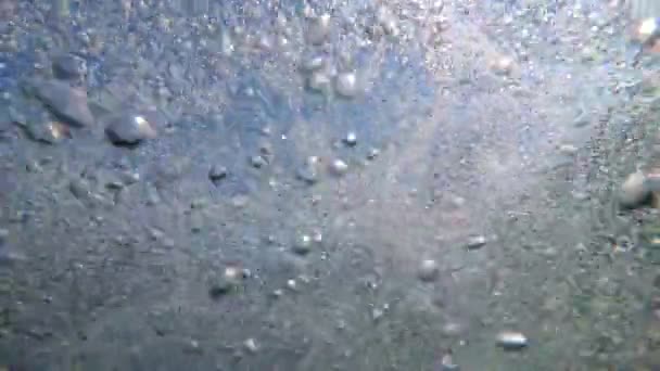 Air bubbles under water. Sunlight and oxygen bubbles in the sea underwater — Stock Video