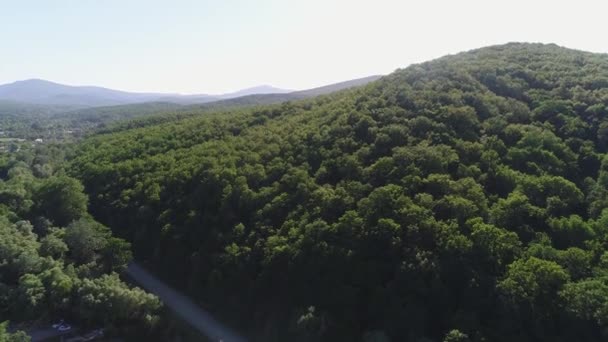 Aerial view: mountains covered with green forest — Stock Video