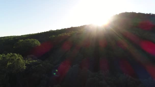 Puesta de sol o salida del sol sobre el bosque. El sol se pone detrás de una montaña verde cubierta de bosque. — Vídeo de stock