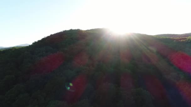 Pôr do sol ou nascer do sol sobre a floresta. Raios solares e montanhas verdes com árvores — Vídeo de Stock
